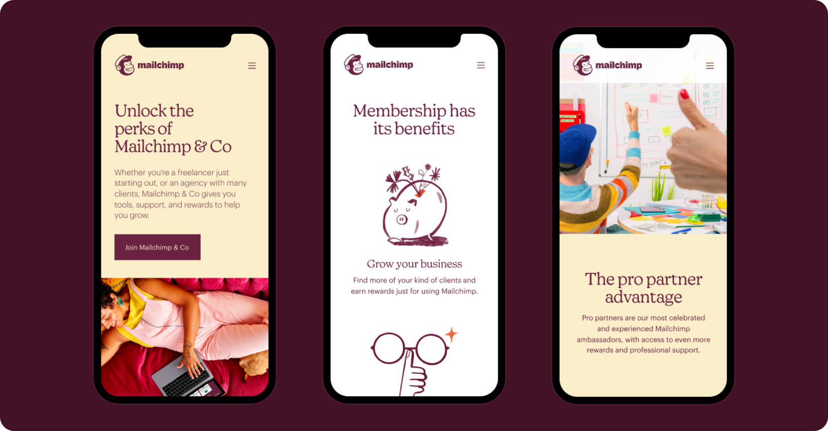 Mailchimp & Co, one of the top customer loyalty program examples