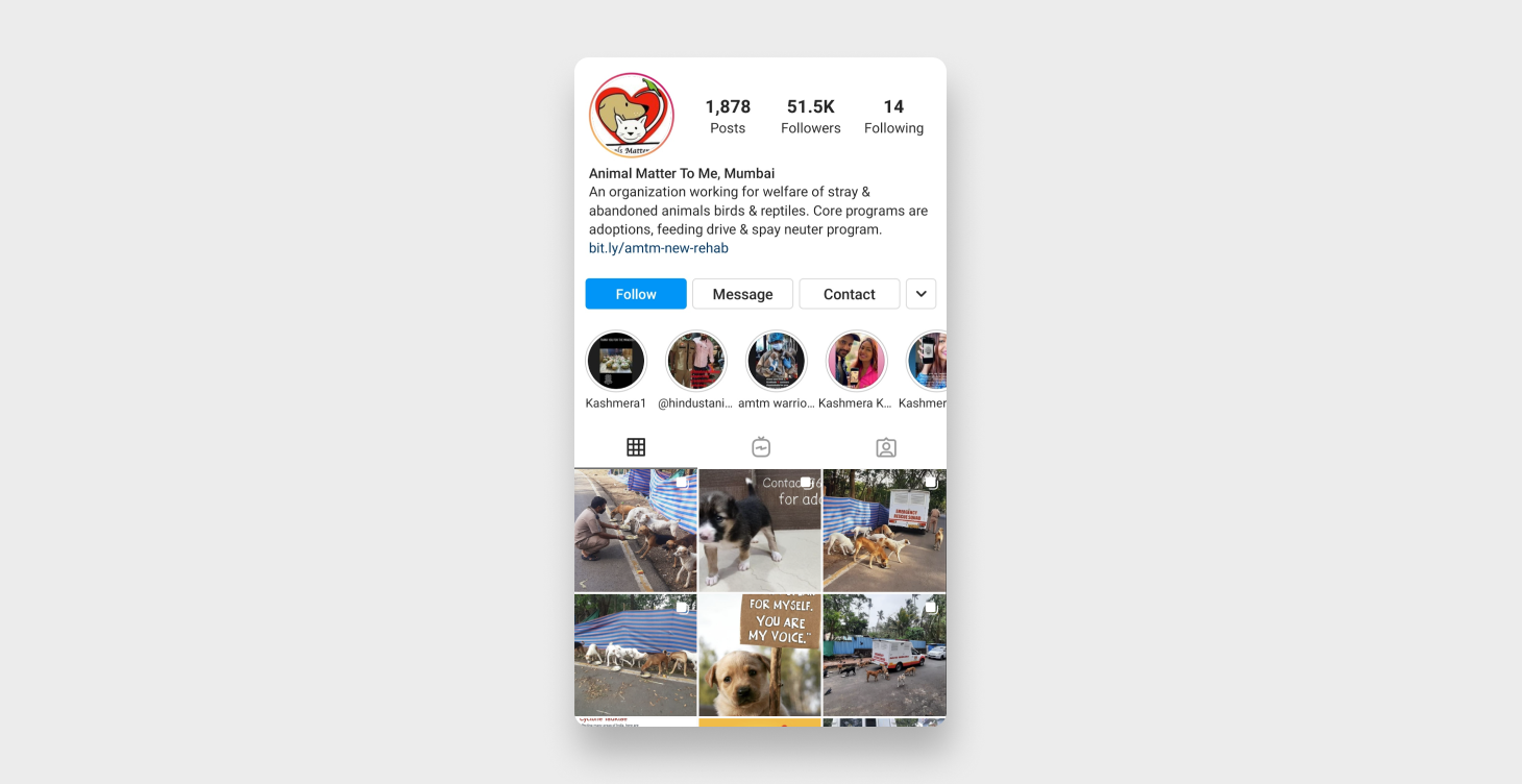 Animal Matter To Me, Mumbai Instagram