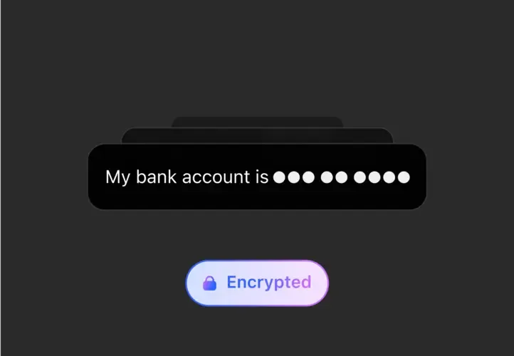 Privacy security 2025 02 13 2315