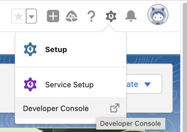 Developer Console drop-down menu