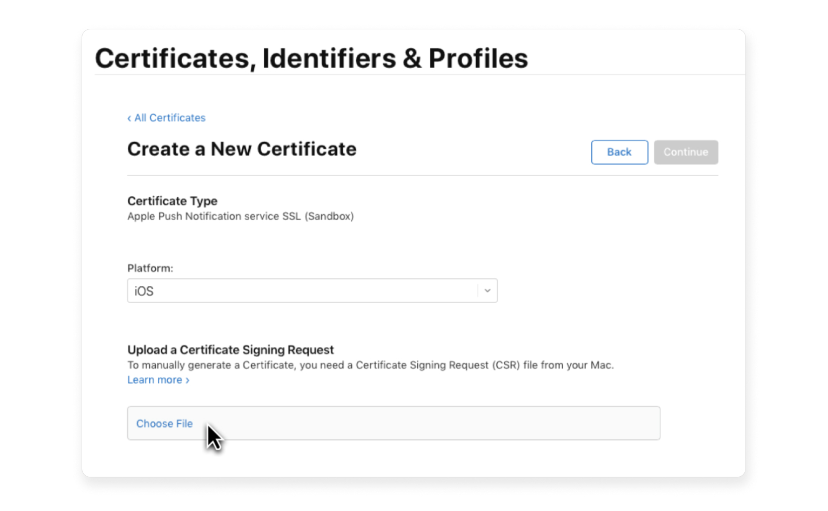 Create a new certificate