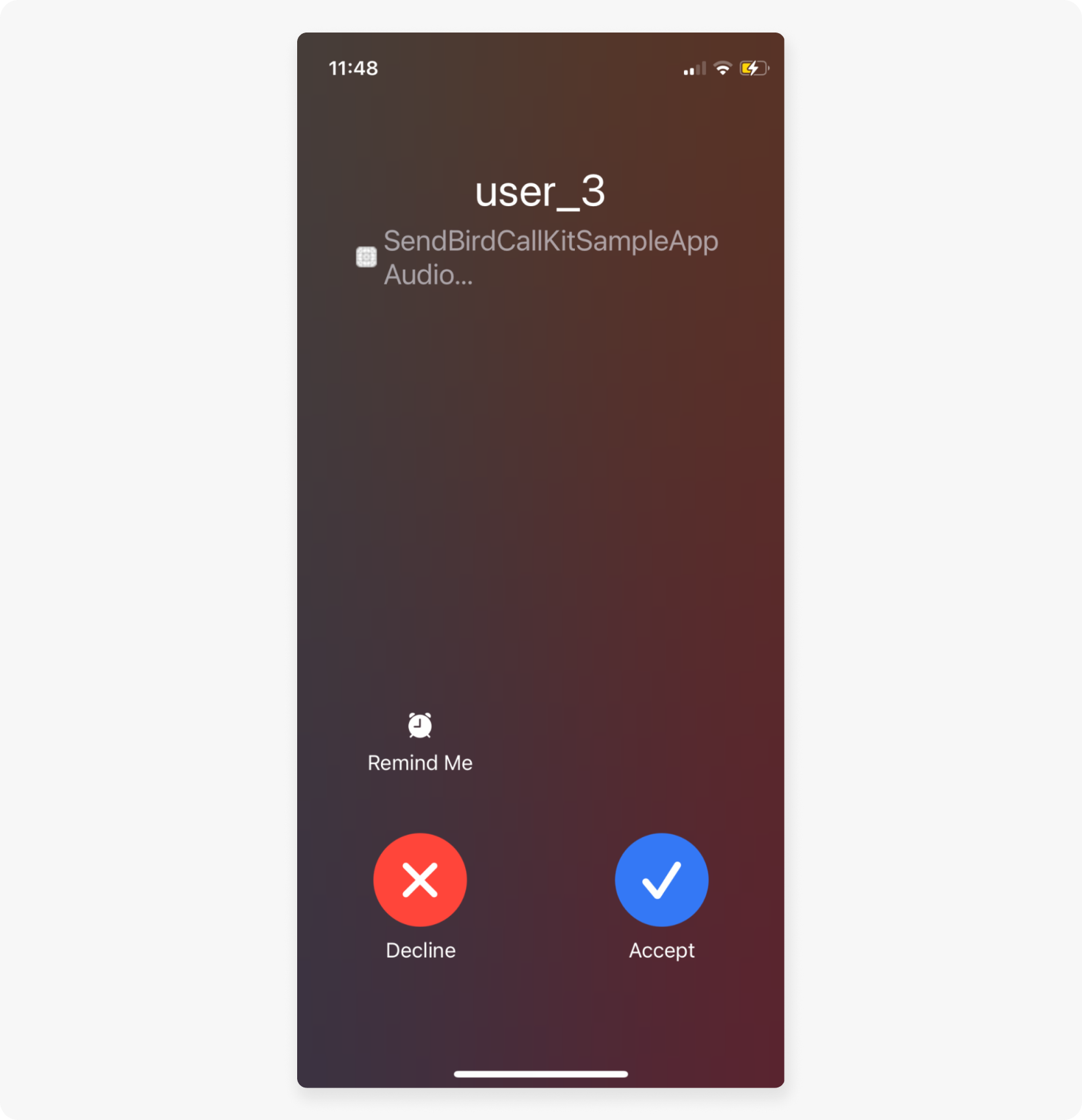 user_3 example call