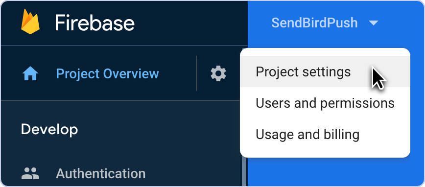 Tutorial Firebase settings
