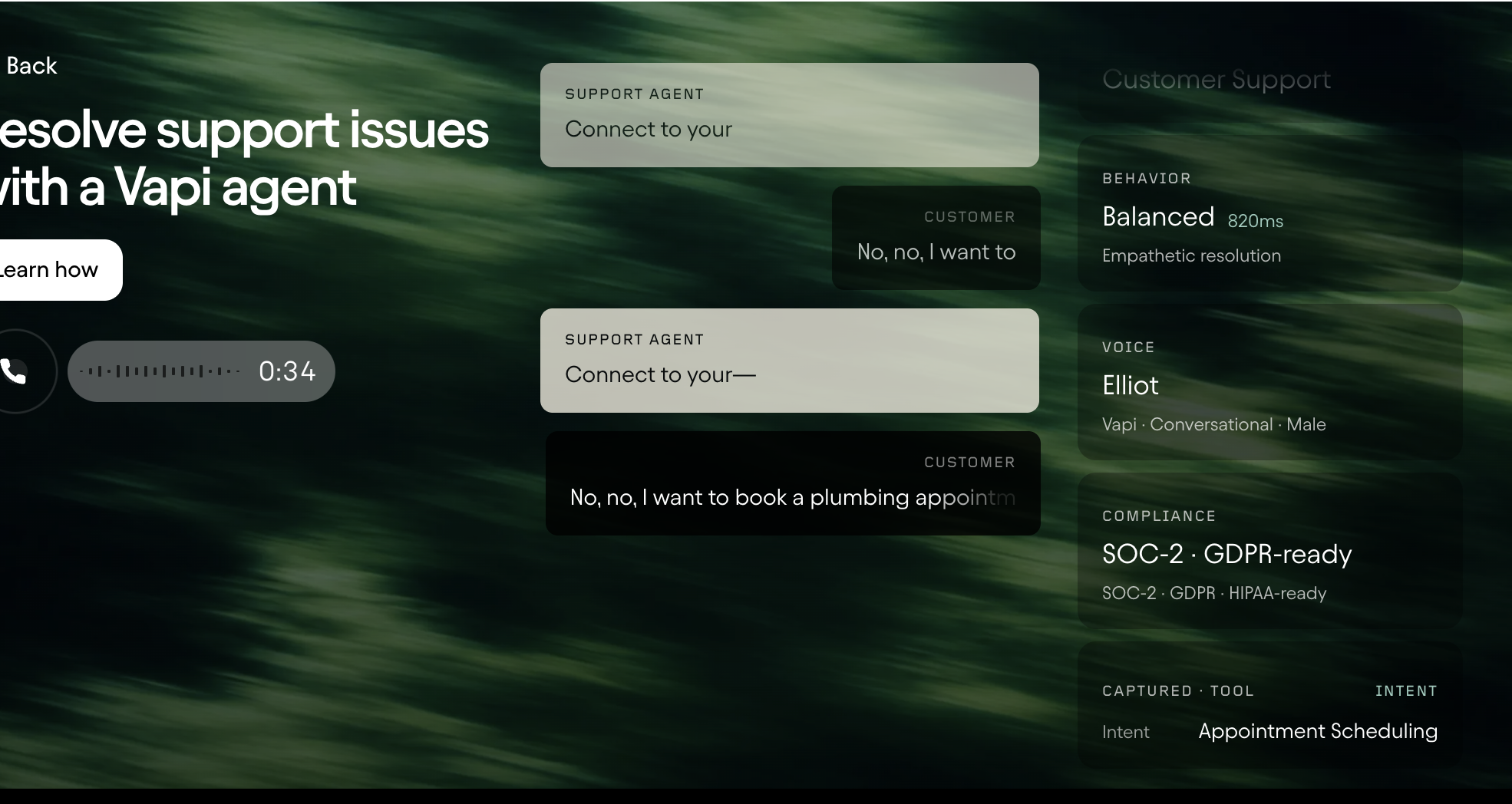 Vapi demo transcript where the support agent talks over a caller trying to book a plumbing appointment
