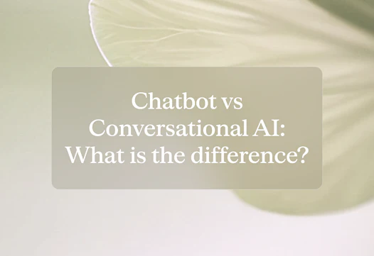 Chatbot vs conversational AI: What is the difference?