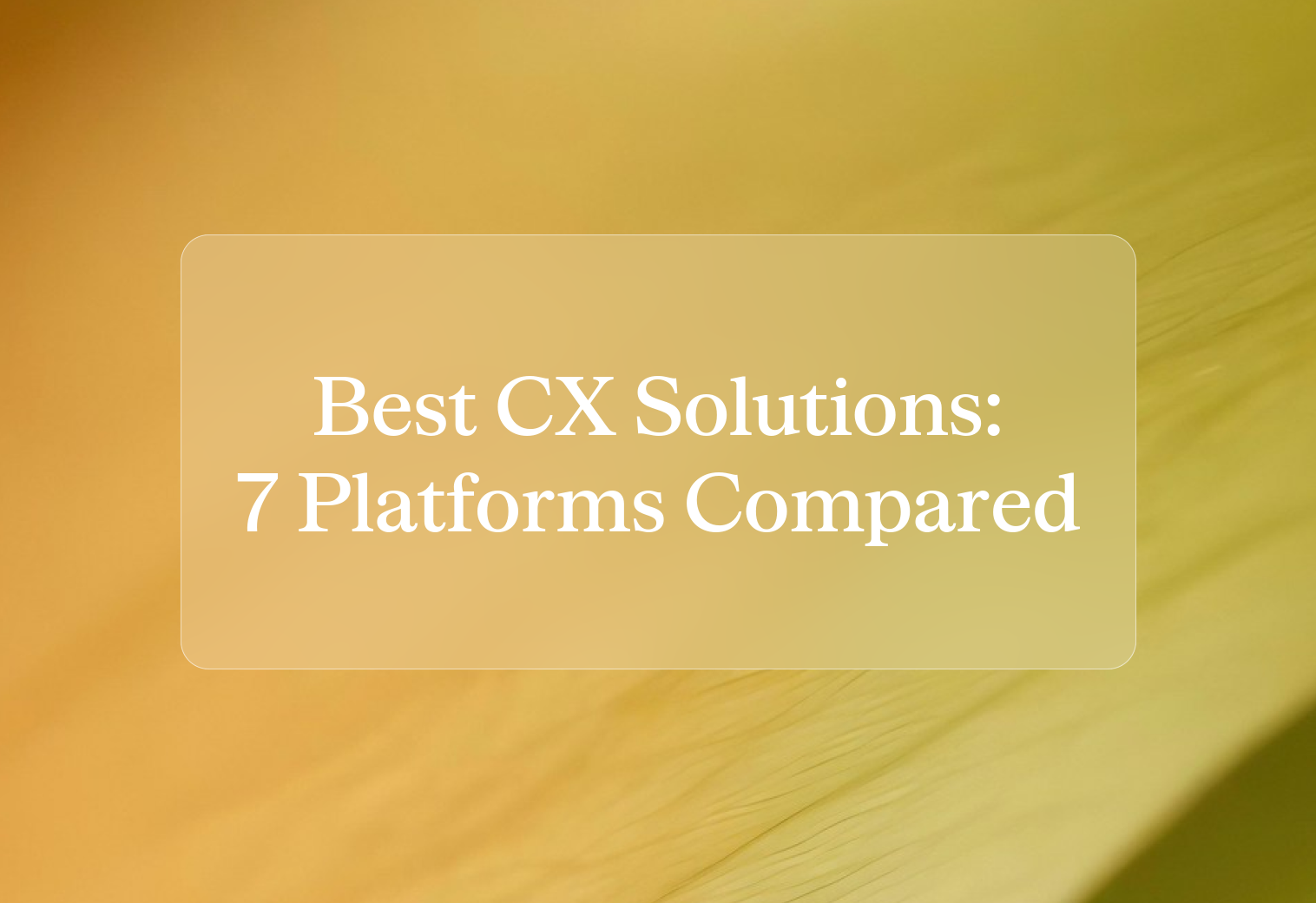 Best customer experience solutions: 7 platforms compared