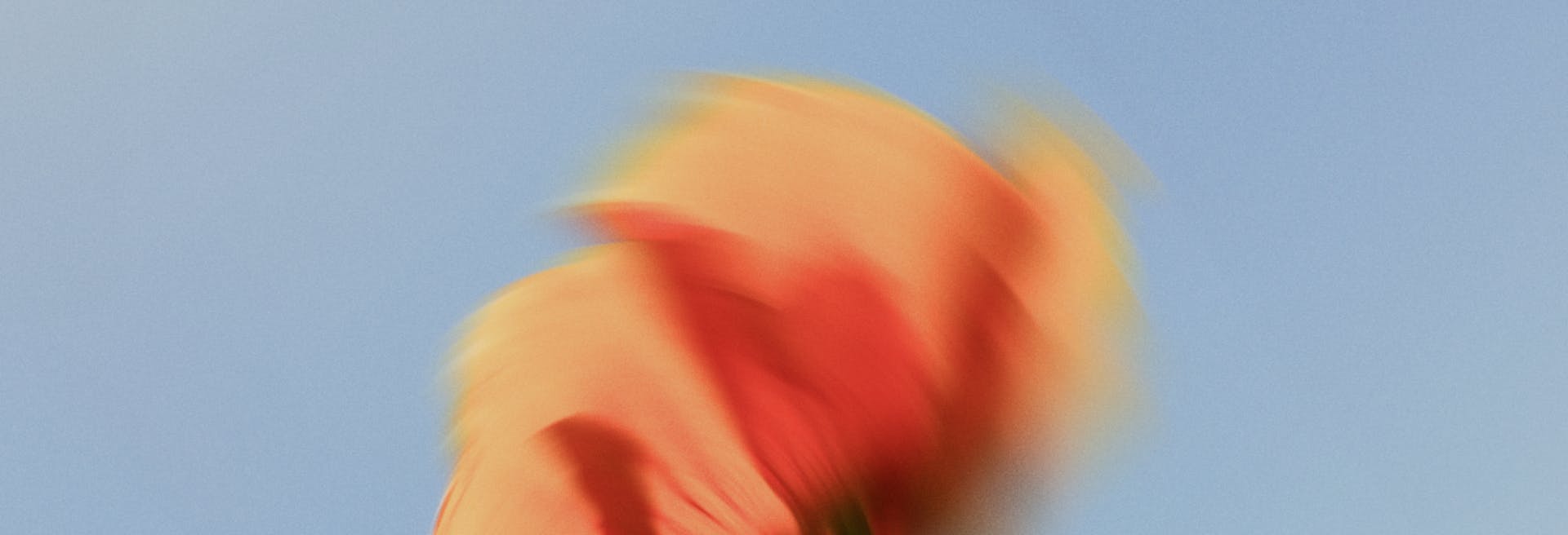 Delight ai background