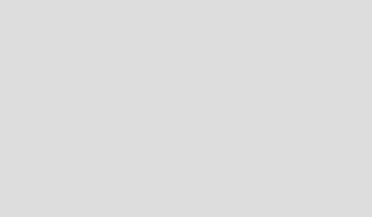Grey rectangleas