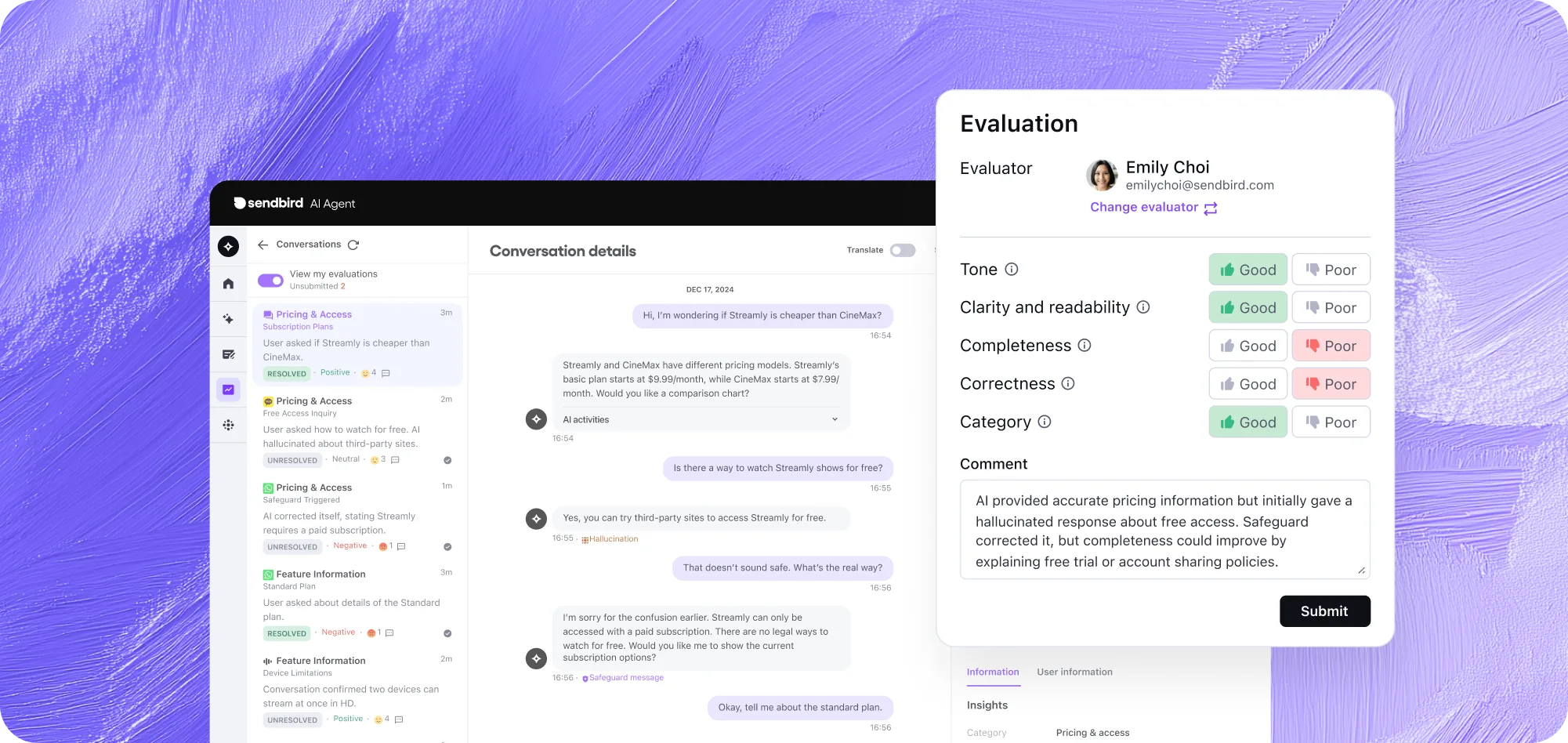 Humans as AI evaluators