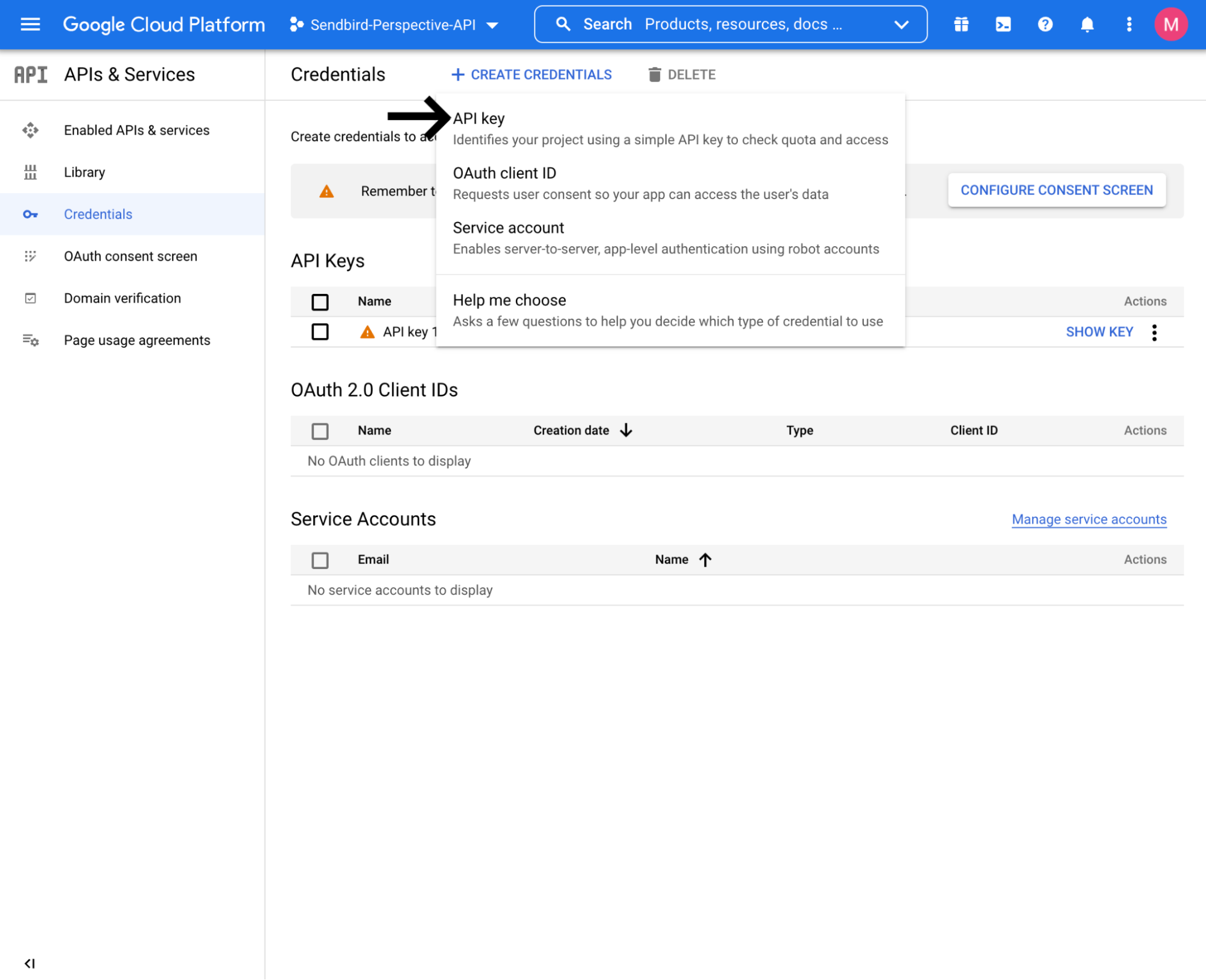 Google Cloud Platform API key