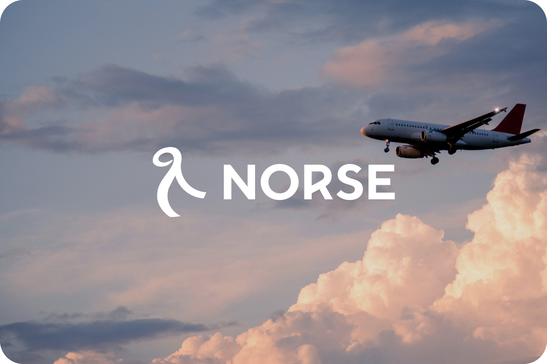 Norse case study
