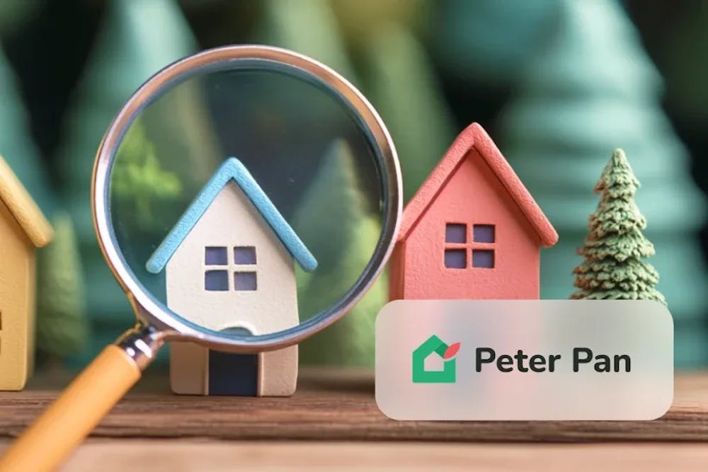 Peterpan thumbnail EN