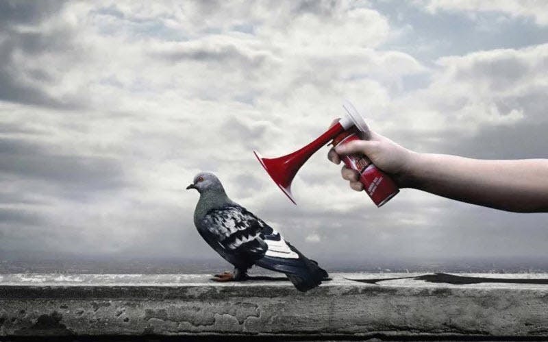 Blog Cover startup marketing strategy
