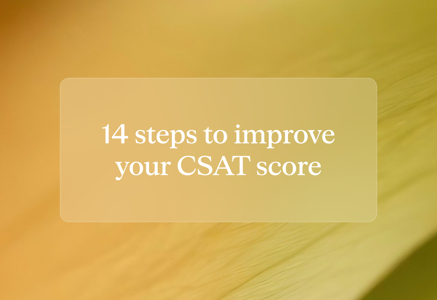 Steps to improve csat score
